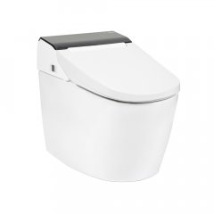 Унитаз с пультом управления SensPa Tankless TC 8100B